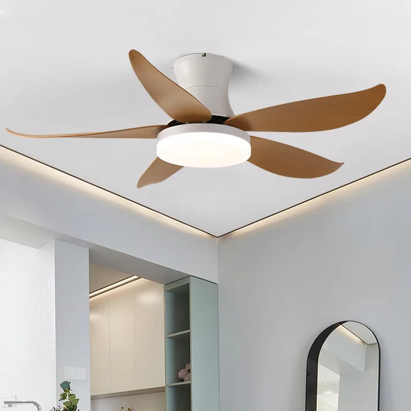 Ceiling Fans With Lights Remote Control Dimming Light with Fans Colorful Children Room Lamps Low Floor Fans Lighting 110V 220V