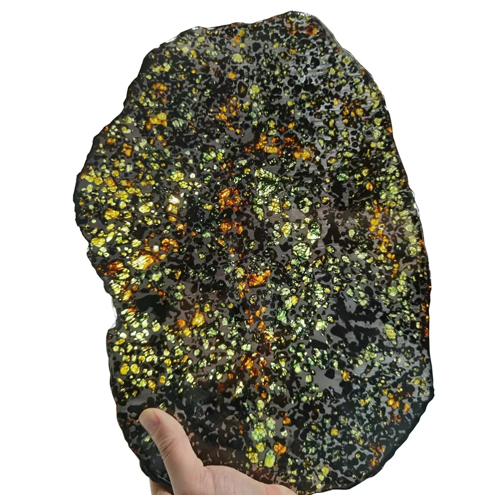 Kenyan olive meteorite 1091g green olive superb slice length 39CM width 27CM