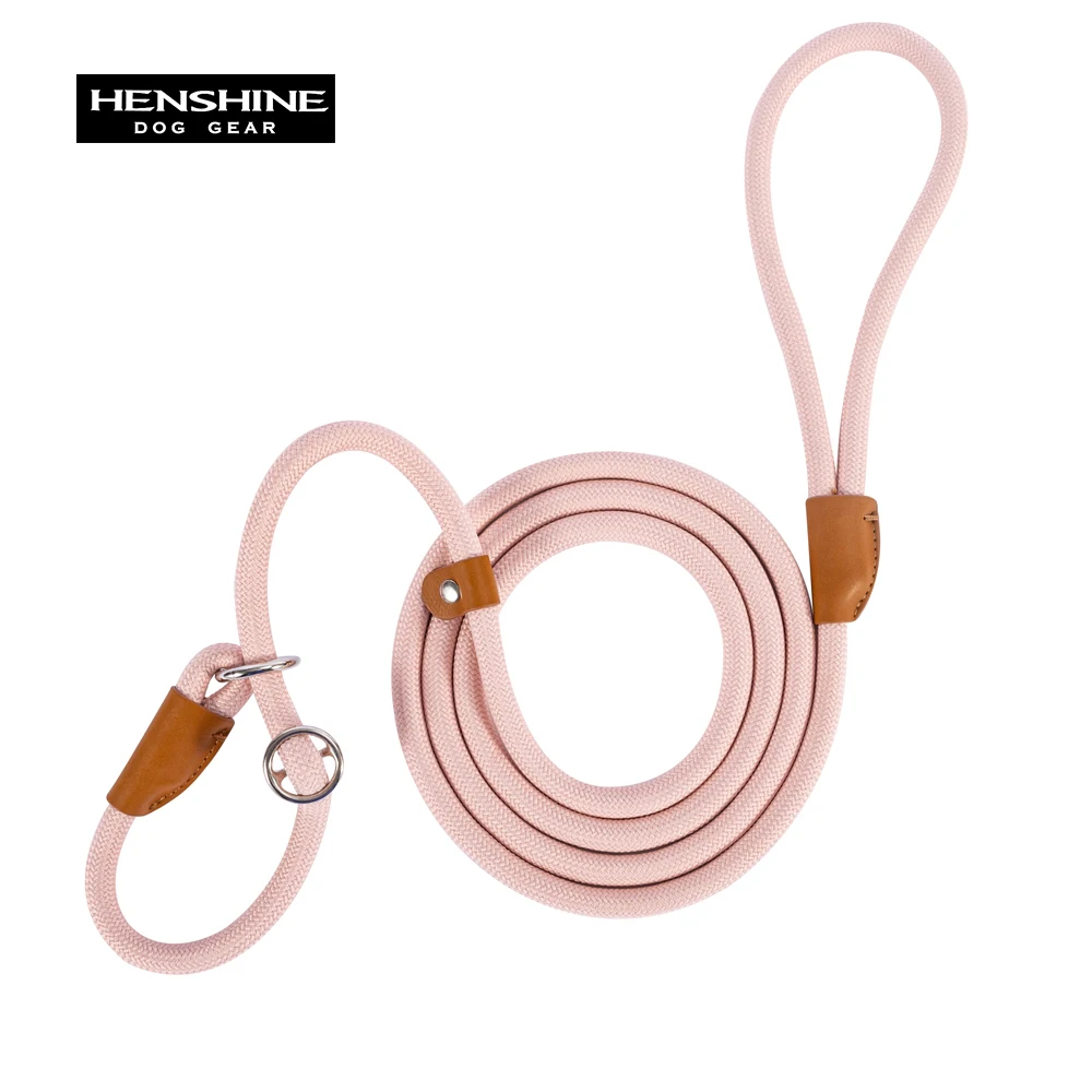 Bequemes langlebiges Nylon-Rutsch seil bestes Hunde leinen halsband verstellbare Gleit verschluss schlaufe mittlere bis große Leine für Hunde haustiere – Detail 11