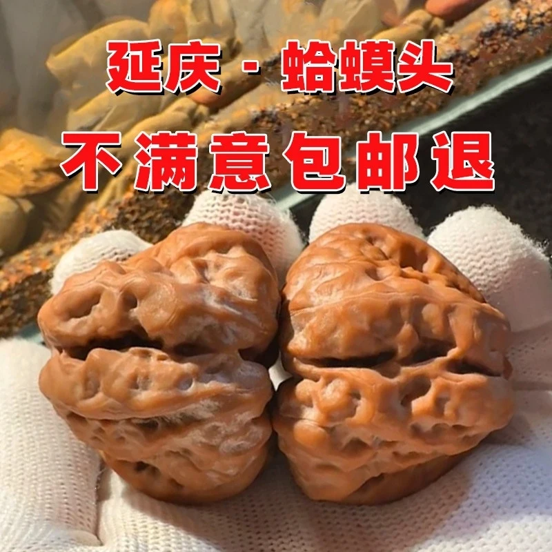 Walnut Yanqing open-back , leg-wagging, waist-squeezing golden, lion, pointed-handled handpiece