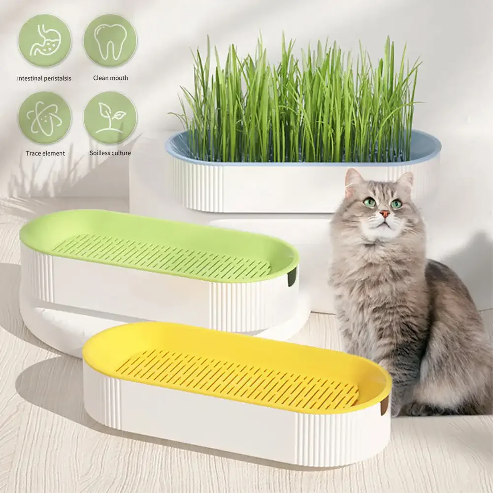 Pet Cat Sprout Dish Growing Pot Hydroponic Plant Cat Grass Germination Digestion Starter Dish Greenhouse Grow Box Reusable