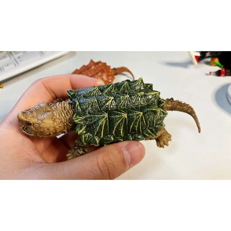 BANDAI-figura de Gashapon de Anime para reptiles, tortuga, tortuga Kawaii, modelo de acción, cápsula, juguetes, regalo para niños