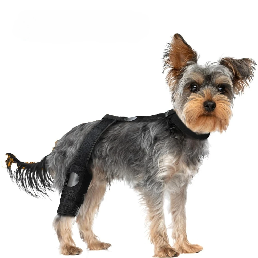 Attelle respirante pour genou de chien pour la récupération du ligament croisé antérieur (LCA) et une meilleure récupération des membres, accessoires post-chirurgie pour animaux de compagnie