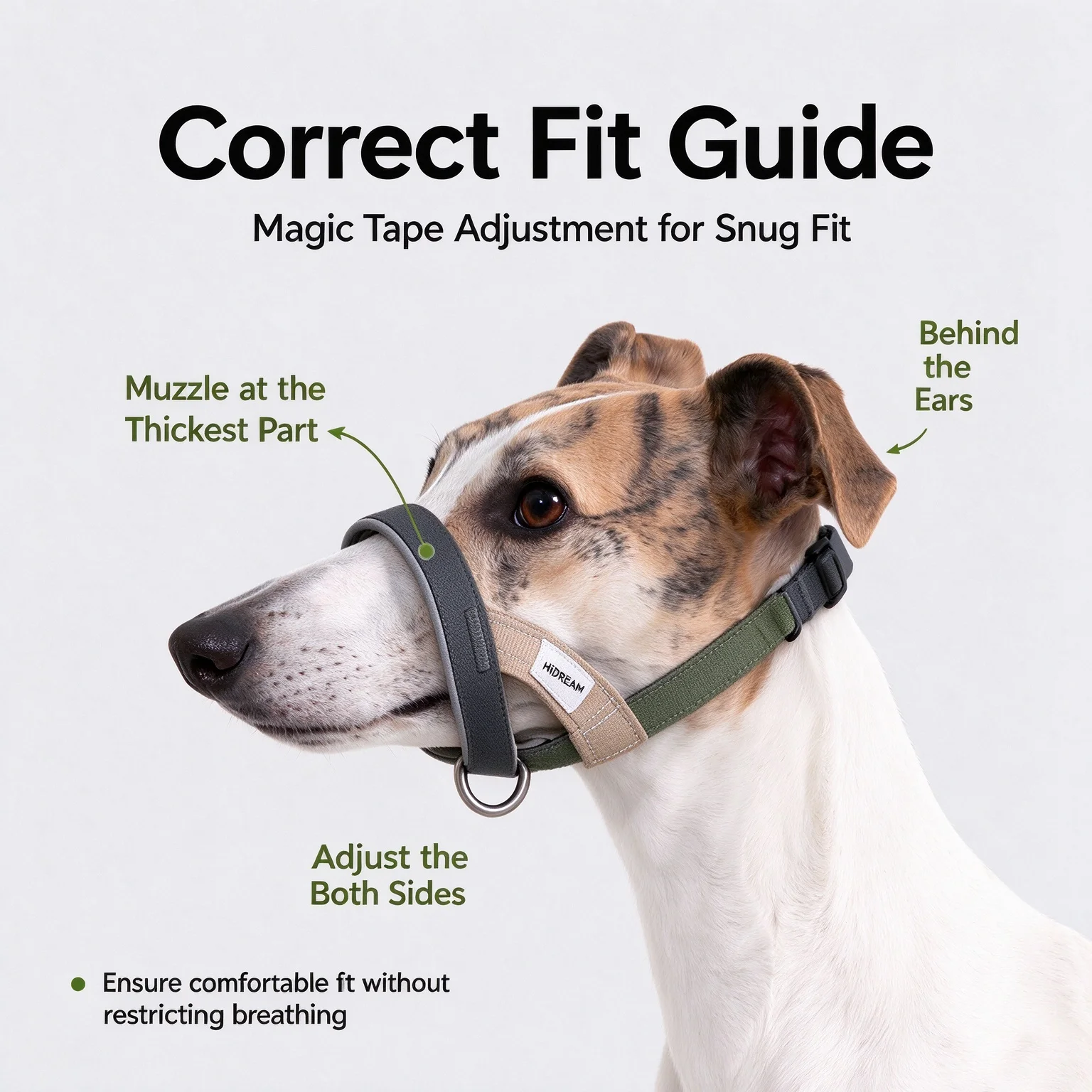 Thumbnail 2 - #9 Puppy Muzzles Comparison Guide