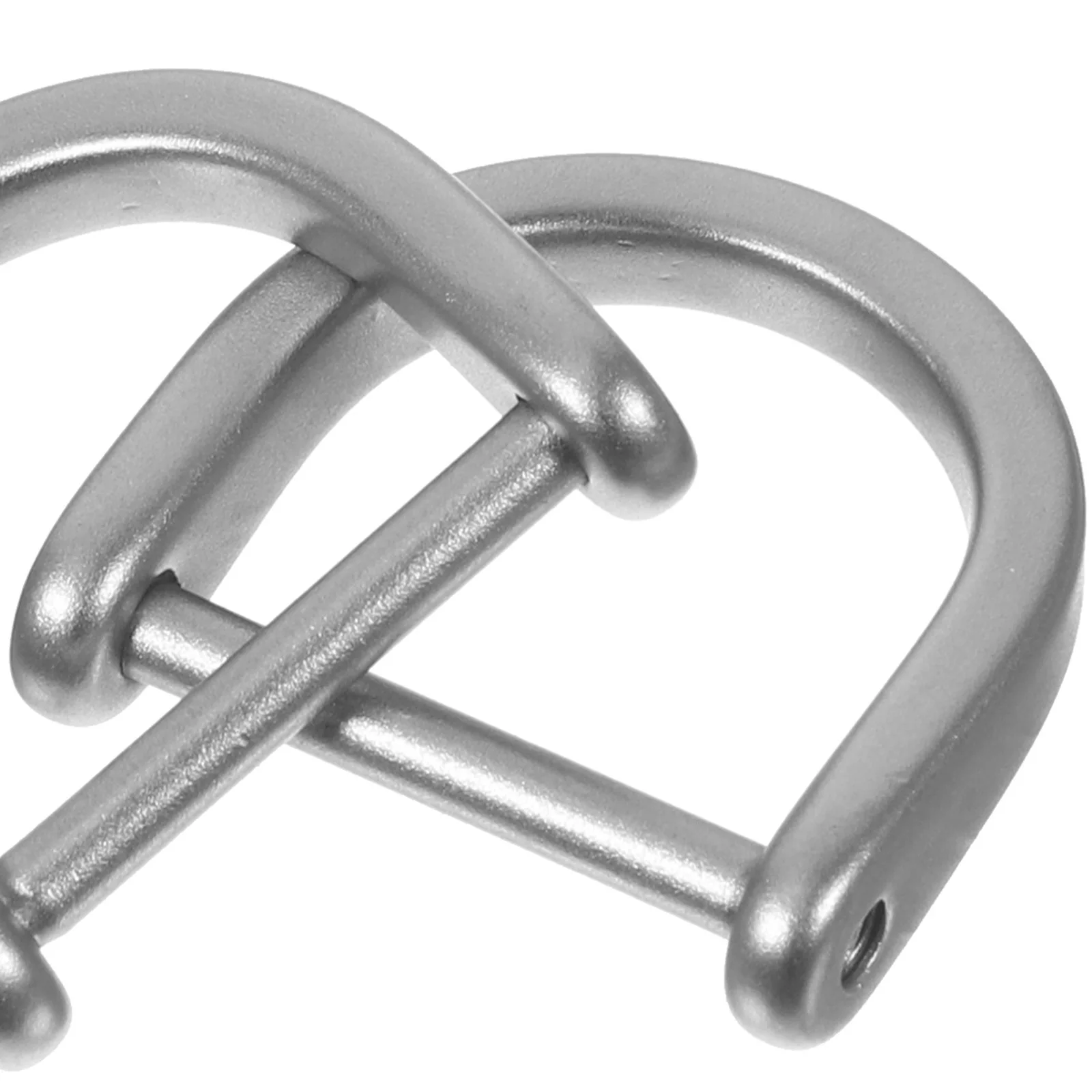 

2pcs Horseshoe D-Shaped Buckles Stainless Steel Bag Strap Hardware DIY Pet Collar Luggage Suitcase Handbag Chain for