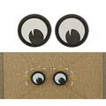 6 PVC Eyes