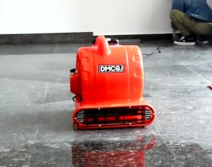 Asciugatrice per tappeti per WC ad alta potenza da 2025 1100 W, ventilatore per deumidificazione commerciale, soffiatrice a terra