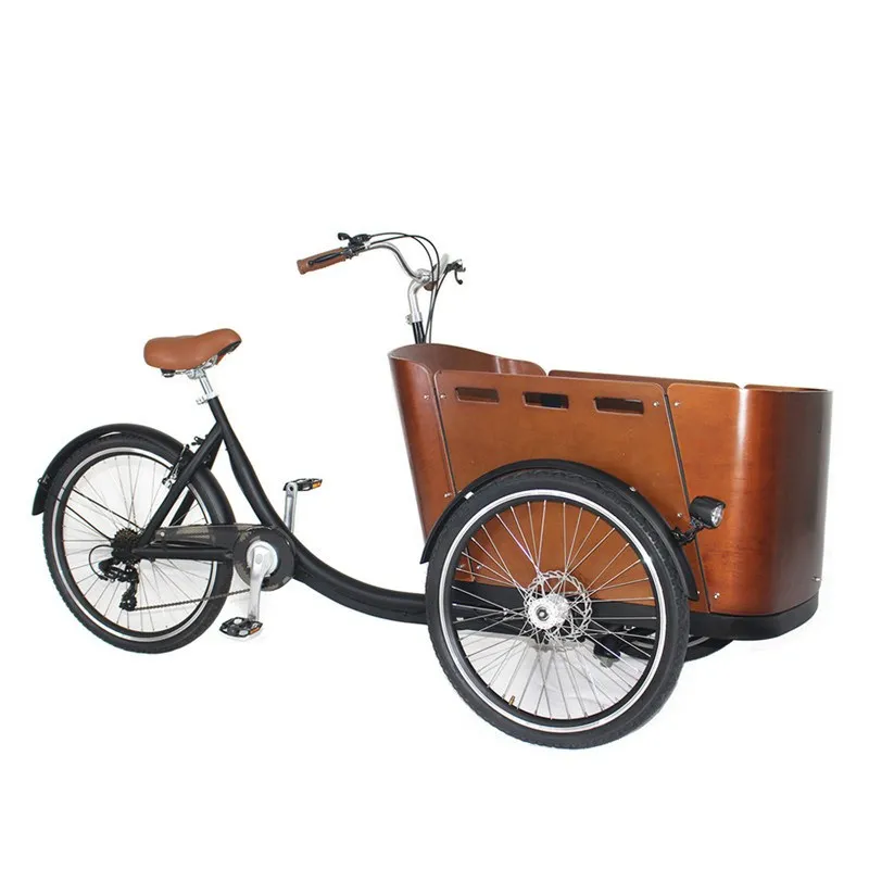 Electric Pedal 3 Wheels Cargo Bike with 250W Rear Motor for Carrying Kids or Pets