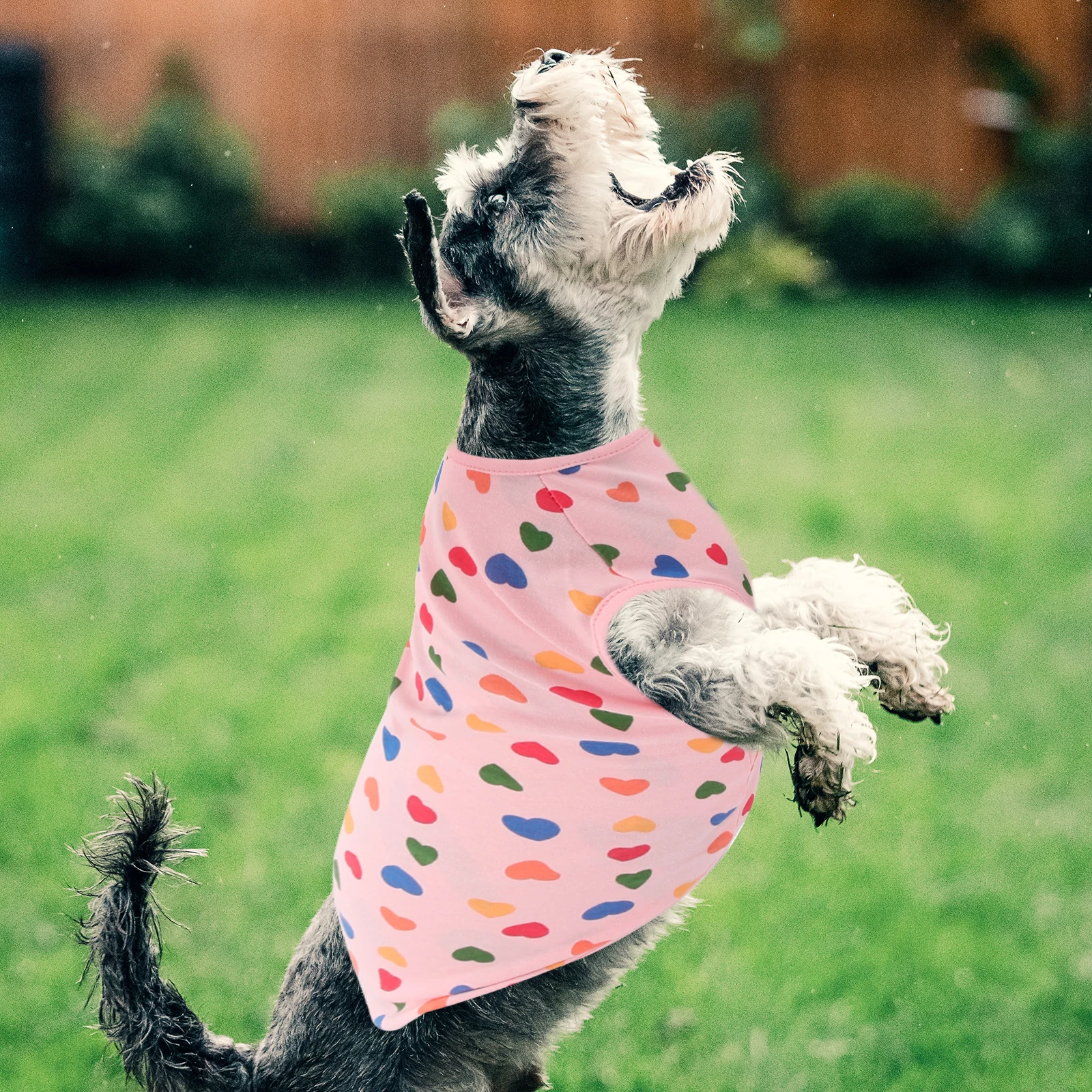 

Pet Clothing Cotton Wear Resistant Cat Apparel Dog Shirt Wear resistant Cat Apparel Decorative Clothes Pet Supply