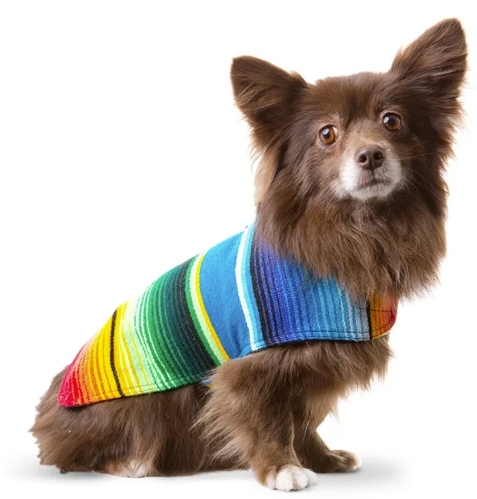 Hot Selling Luxury Mexican Day of the Dead Halloween Woven Costume Indian Handmade Rainbow Amazon Pet Blanket Pet Cloth Cape