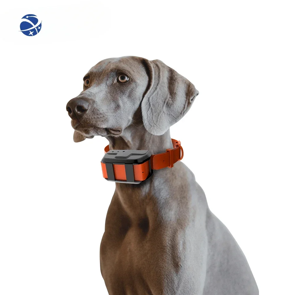 LTE/4G/GSM/2G Waterproof durable anti-fall good quality dog, cattle and sheep general animal tracker positioning collar