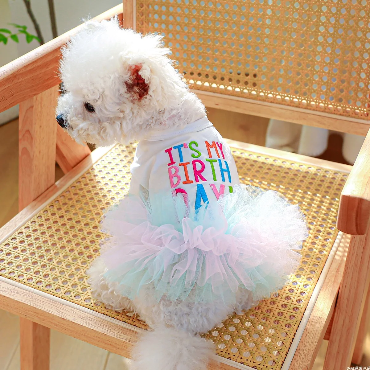 1PC Pet Clothing Cat Spring Autumn Summer Colorful Letter Ballet Mesh Princess Dress Suitable for Small and Medium sized Dogs