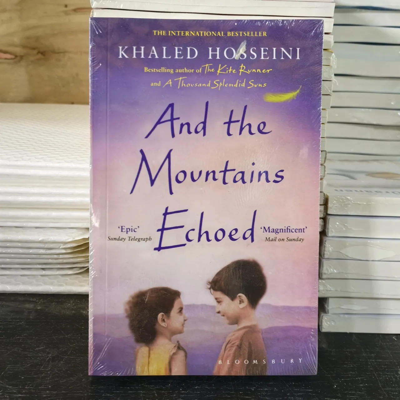 

And The Movntains Echoed English Version English Novel Children'S Books And Storybooks Libros Livros