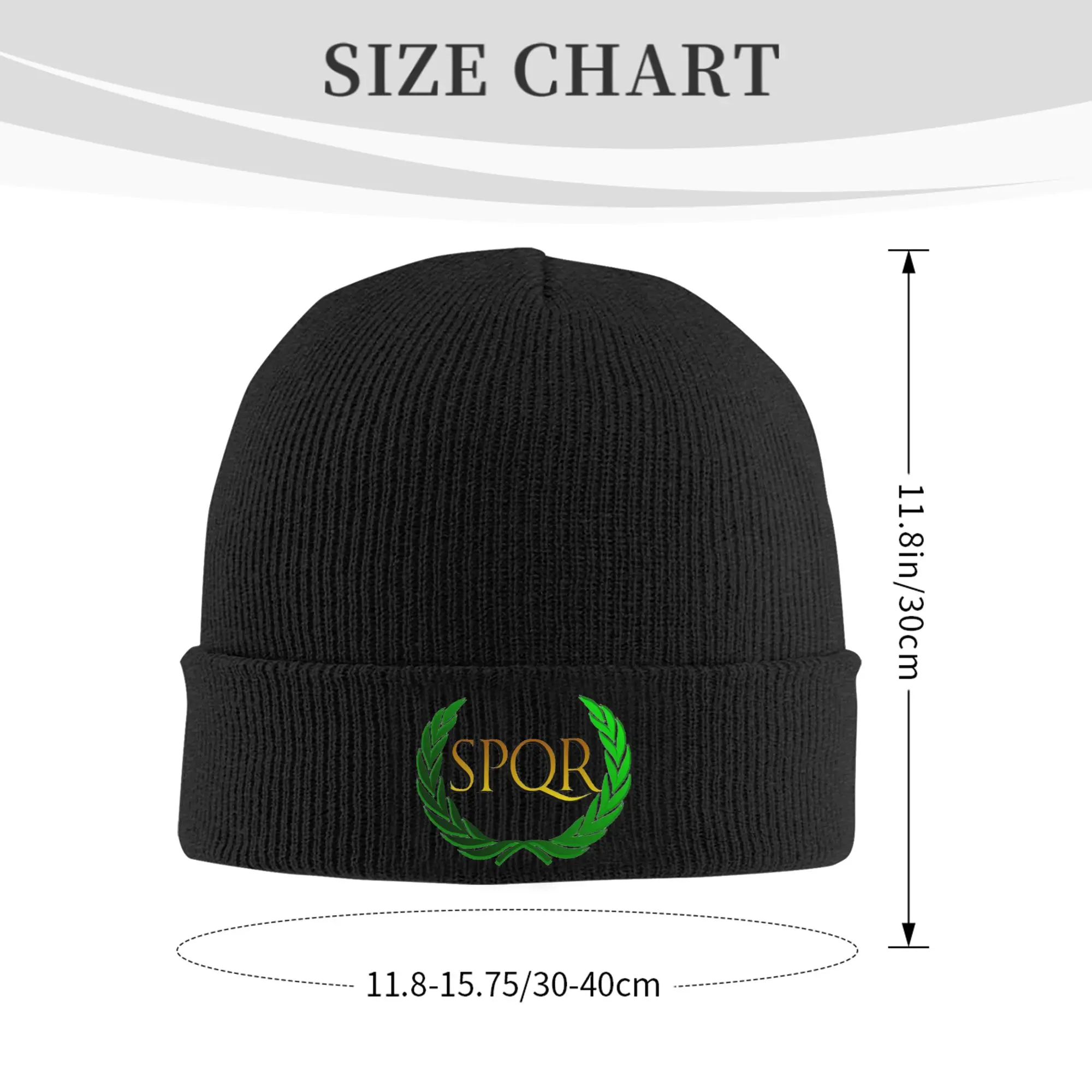 Ancient Roman History Carthago Delenda Est Latin Quote SPQR Imperial Eagle Winter Skullies Beanies Hat Knitted Hats Bonnet Caps