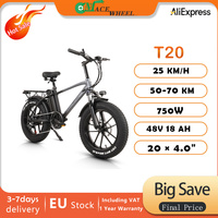 CMACEWHEEL T20 750W 20\