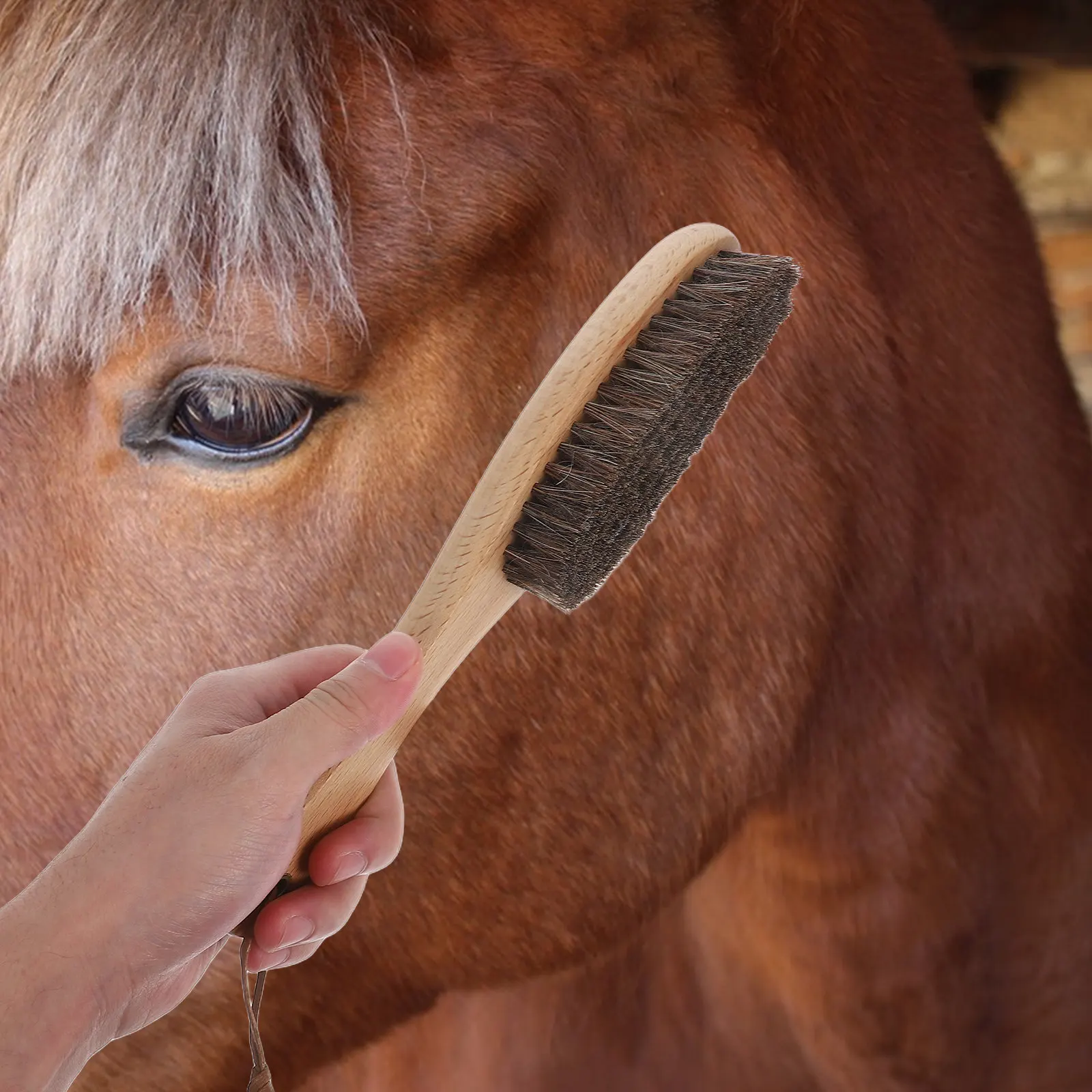 

Щетка для удаления пыли с деревянной ручкой и конским волосом, бережная к коже лошади, эффективная очистка, эргономичная головка, портативная, легкая, для ухода за лошадьми