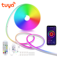 Tuya Smart Life WiFi LED Neon Light Strip 12V LED Strip RGB Neon Sign Tape Decoration Alexa Google Home Silica Gel With Clips