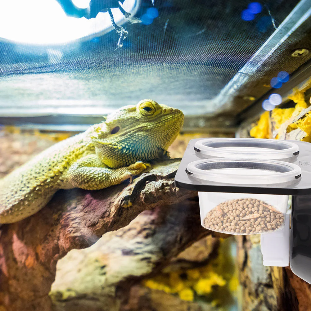 Reptile Water Bowl Lizard Food Dish Gecko Tank Accessories Multi-function Crested Feeding Ledge Bowls Suction Cup Iguana