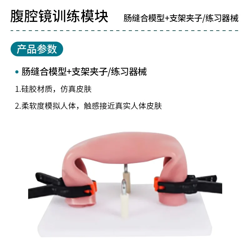 Human Intestine Suture Model Silicone Simulation Skin Suture Knot Medical Teaching Simulator Material Wholesale Order