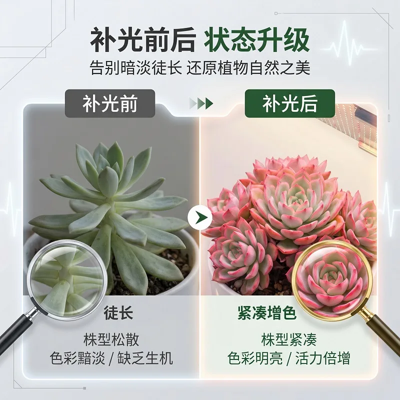 81-169個のledを使用した、全スペクトル植物育成ライト。100-277v対応。量子ボード搭載。水耕栽培用育成ボックス、温室、野菜栽培用照明。