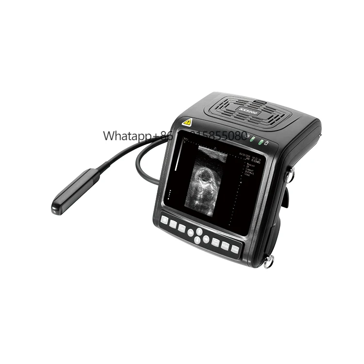 Veterinary Instrument KX-5200 Full Digital B Mode Ultrasound Scanner Vet for Sale