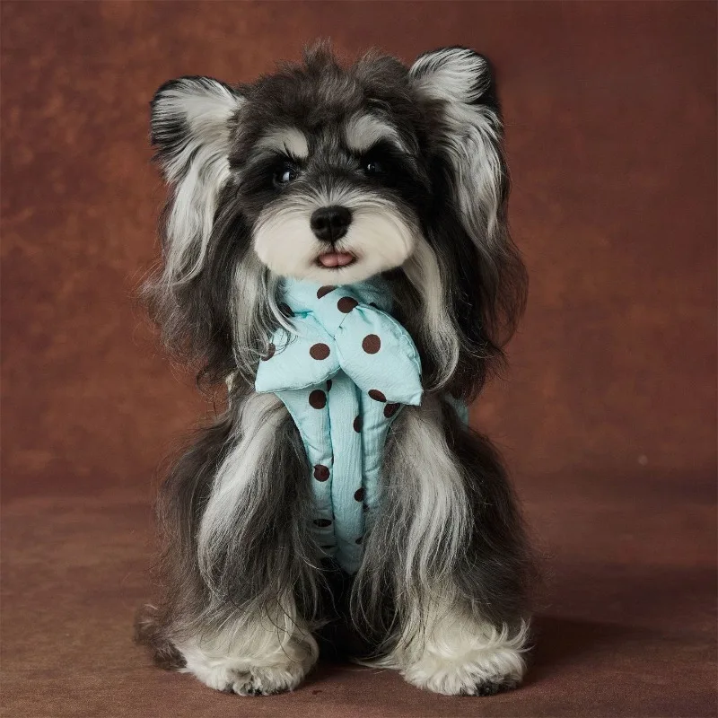FallenVex Store Pet Dog Winter Down Vest Polka Dot Thickened Warm Jacket for Small Dogs  Schnauzer Teddy Pomeranian Cat Clothes