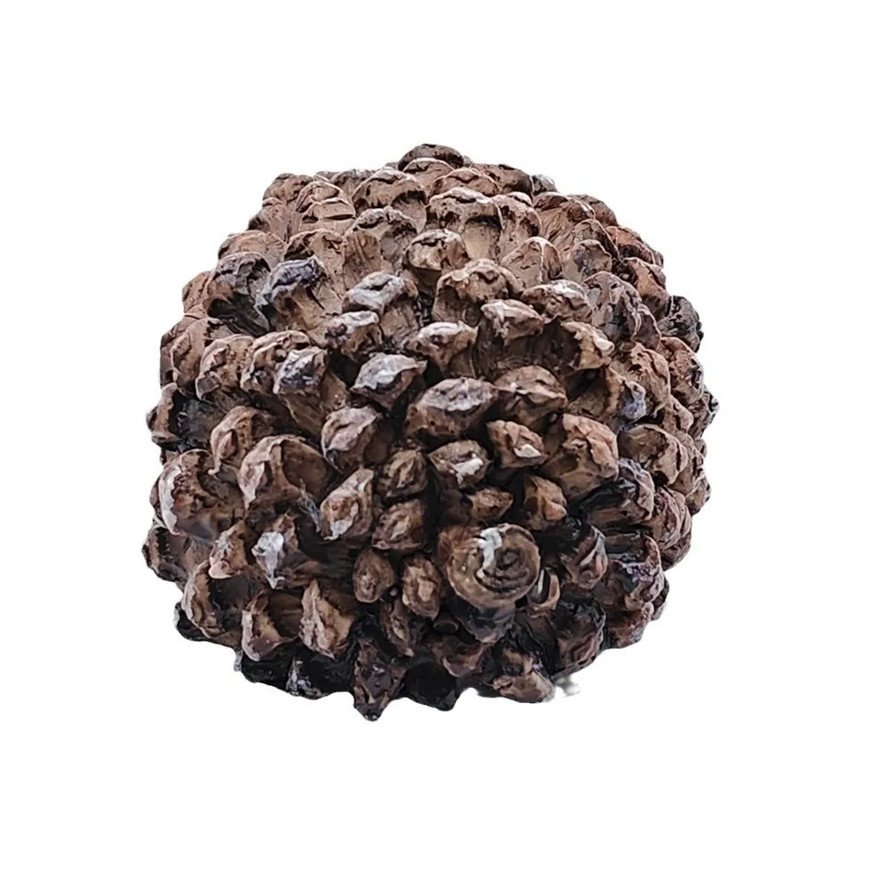 Creative Resin 1:1 Pinecone Key Box - Anti-Lost Hidden Money Secure Storage Organizer Discreet Safe Container