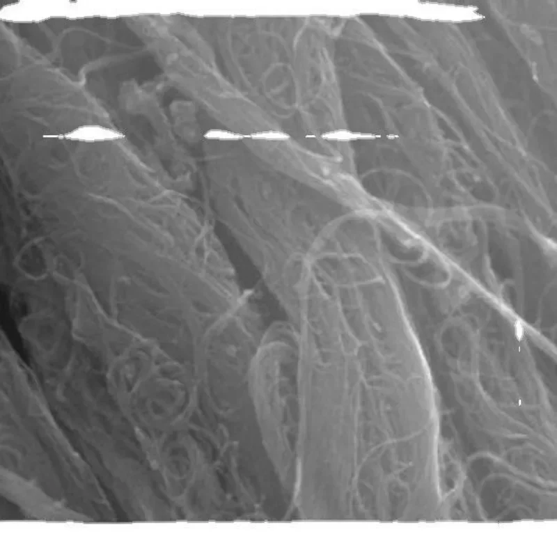 Рисунок 3 - Углеродная нанотрубная пленка