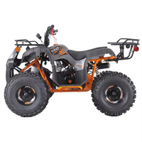 Automatic 12V 5AH All Terrain Quad ATV Double Quad Adult Quad 1000cc