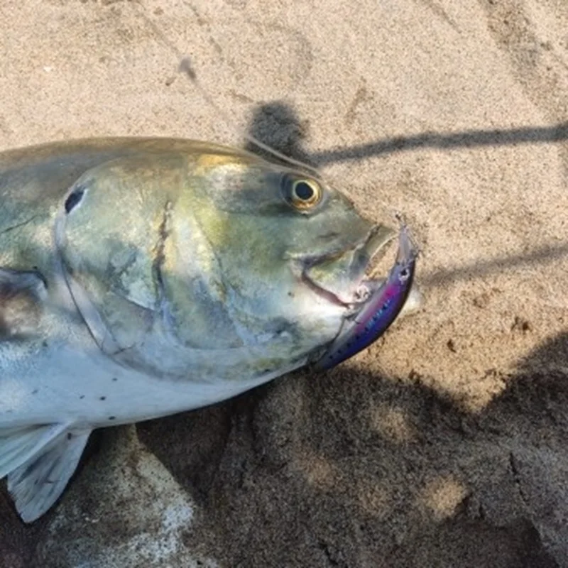 28/40g Sinking Minnow Angelköder Künstliche Tieftauchköder Wobbler für Seebarsch Skipjack Thunfisch Jackson GControl Pesca Tackle