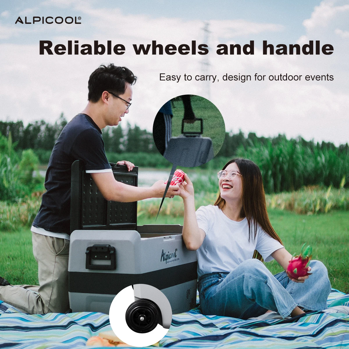 Alpicool T50 Dual Zone Cooler Mini Capacity 12V Dual Use Freezer Electric Compressor Fridge Portable Camping Car Refrigerator