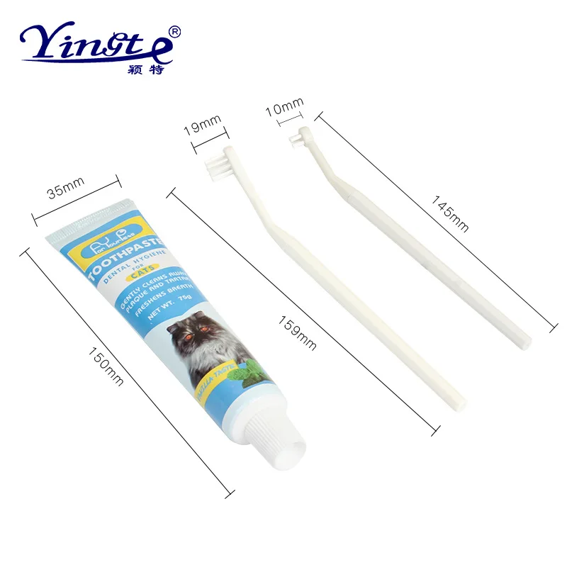 Pet toothbrush toothpaste set pet oral cleaning supplies cat toothbrush cat toothpaste set