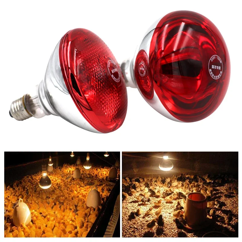 Pet Brooder Hatch Warming Lamp Animal Chicks Bulb Heat Infrared Lamp Poultry Infrared Heater Heating Lamp