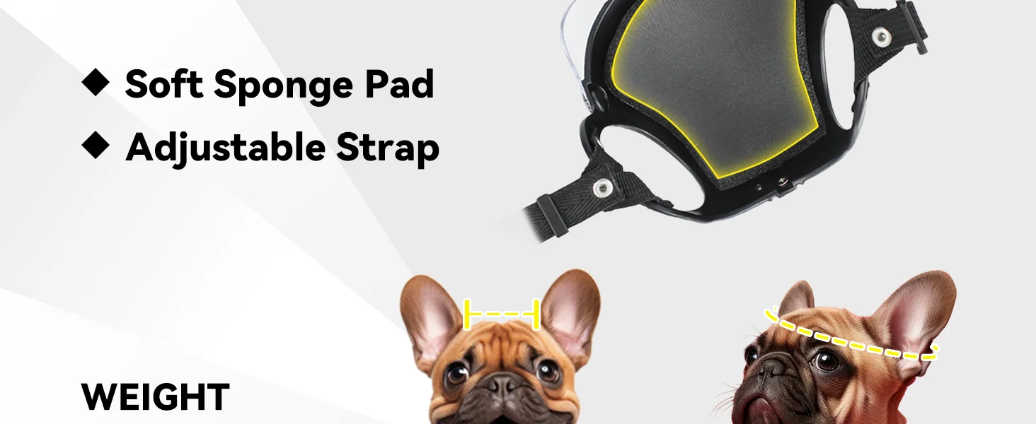 dog helmet