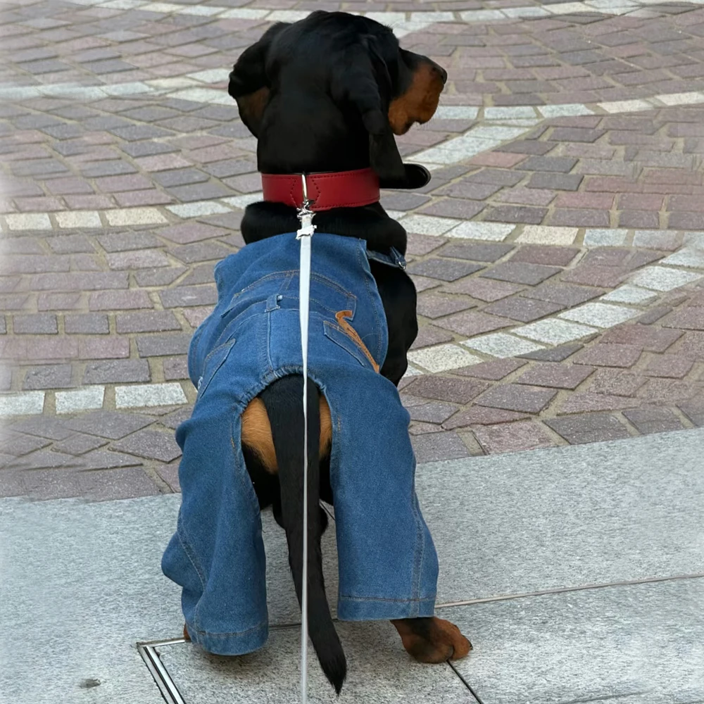 Pantalón vaquero fino de tirantes ajustable para perros salchicha - imagen 3