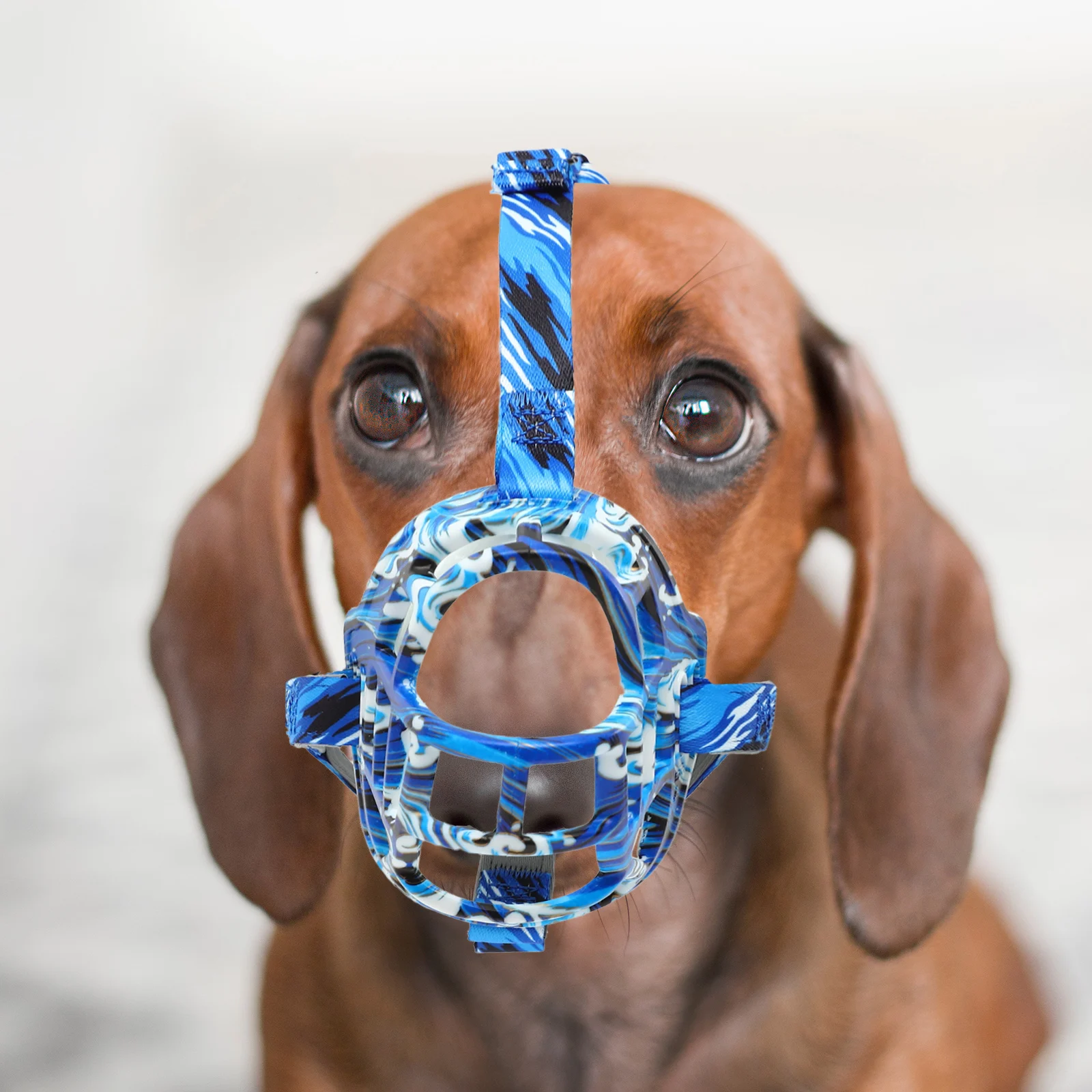 

Anti Bite Dog Muzzle for Barking Dogs Large Sized Breathable Mouth Soft Blue White Adjustable Pet Supplies