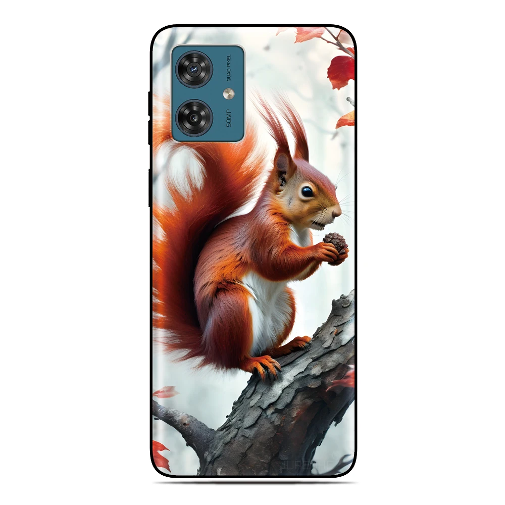 Cute Squirrel Back Cover For UMIDIGI G9 G9A G9C G9T Note 90 90C 90A G5 G6 G3 Power 5 5s 7 7s F1 A9 A11 A13 Pro Max Phone Case