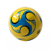 High Quality Wear-resistant PVC Soccer Ball Official Size 5 Football for School Club Training