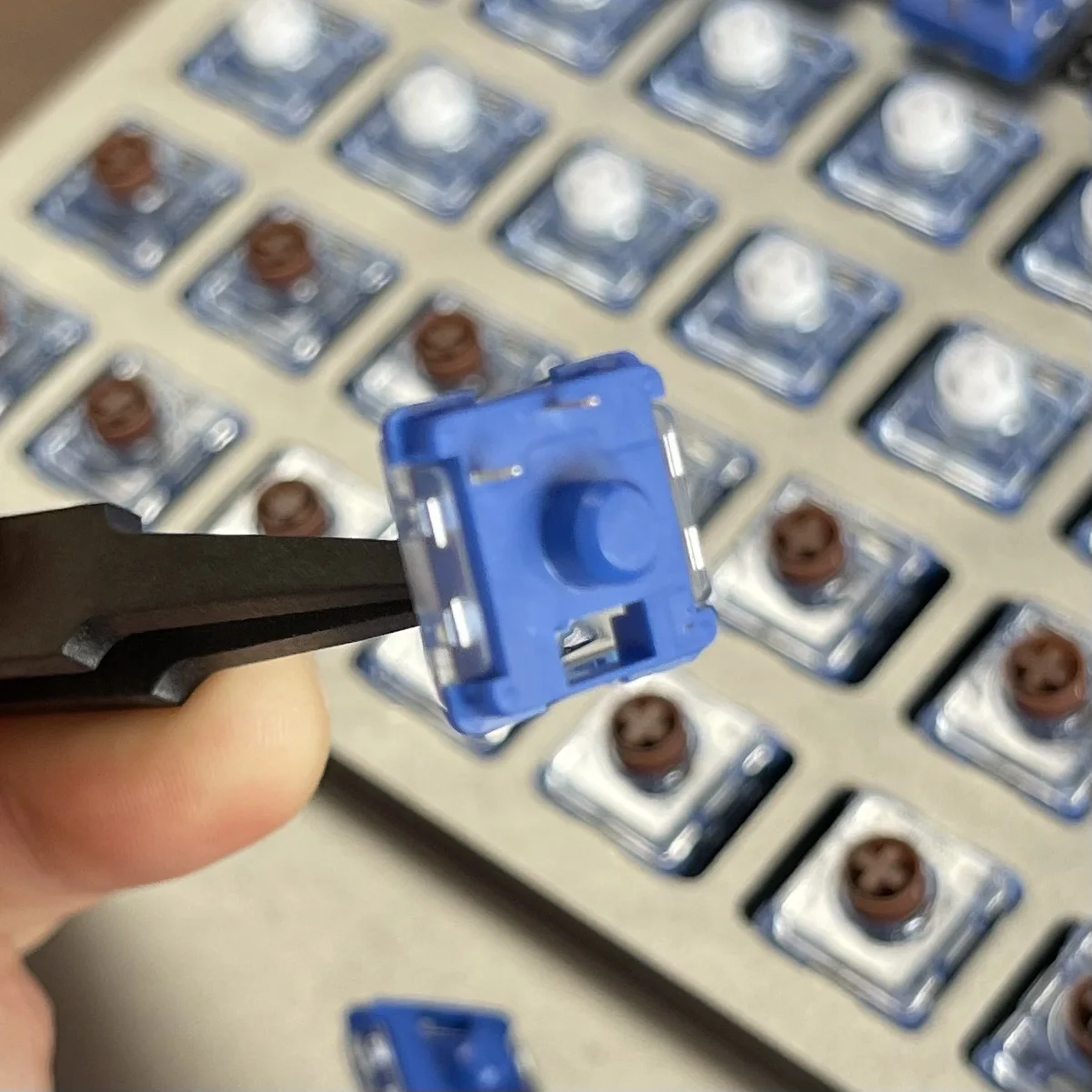 Kailh Sakelar Keyboard Profil Rendah Senyap Laut Dalam untuk Sakelar Keyboard Mekanis MINI 1353Hitbox Pendaratan Paus Pulau Laut Dalam