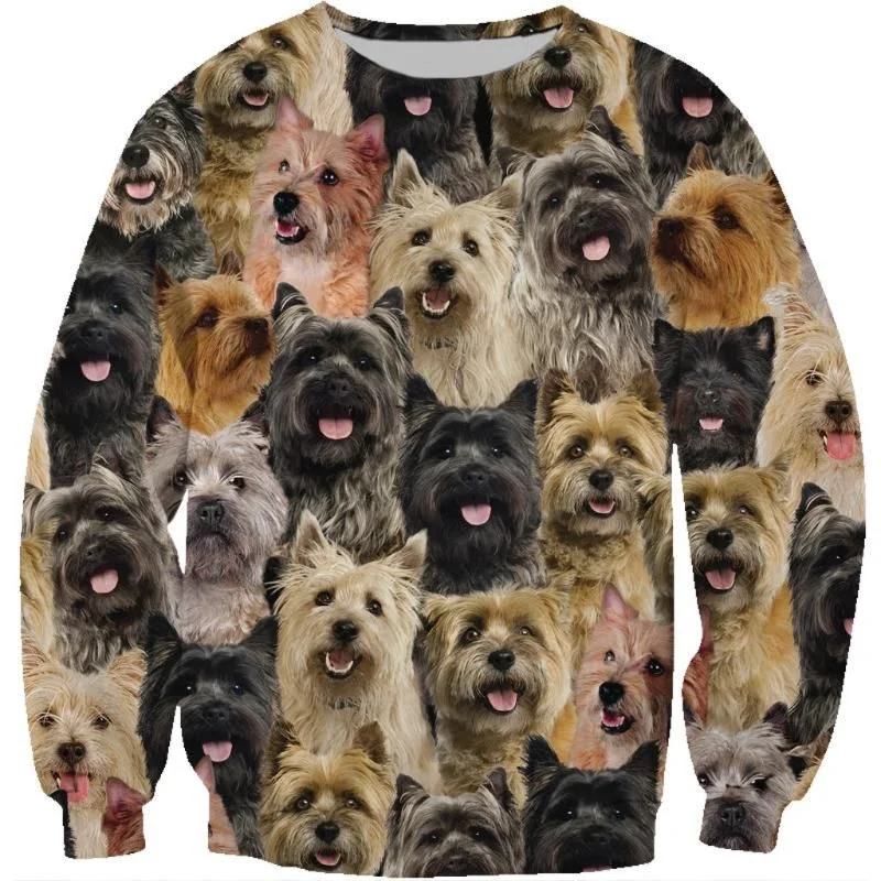 

Yorkshire Schnauzer Horse Sweatshirt Trendy Fall And Winter Loose Comforts Pullover Sportwear Longsleeved Tops Men Women Kid