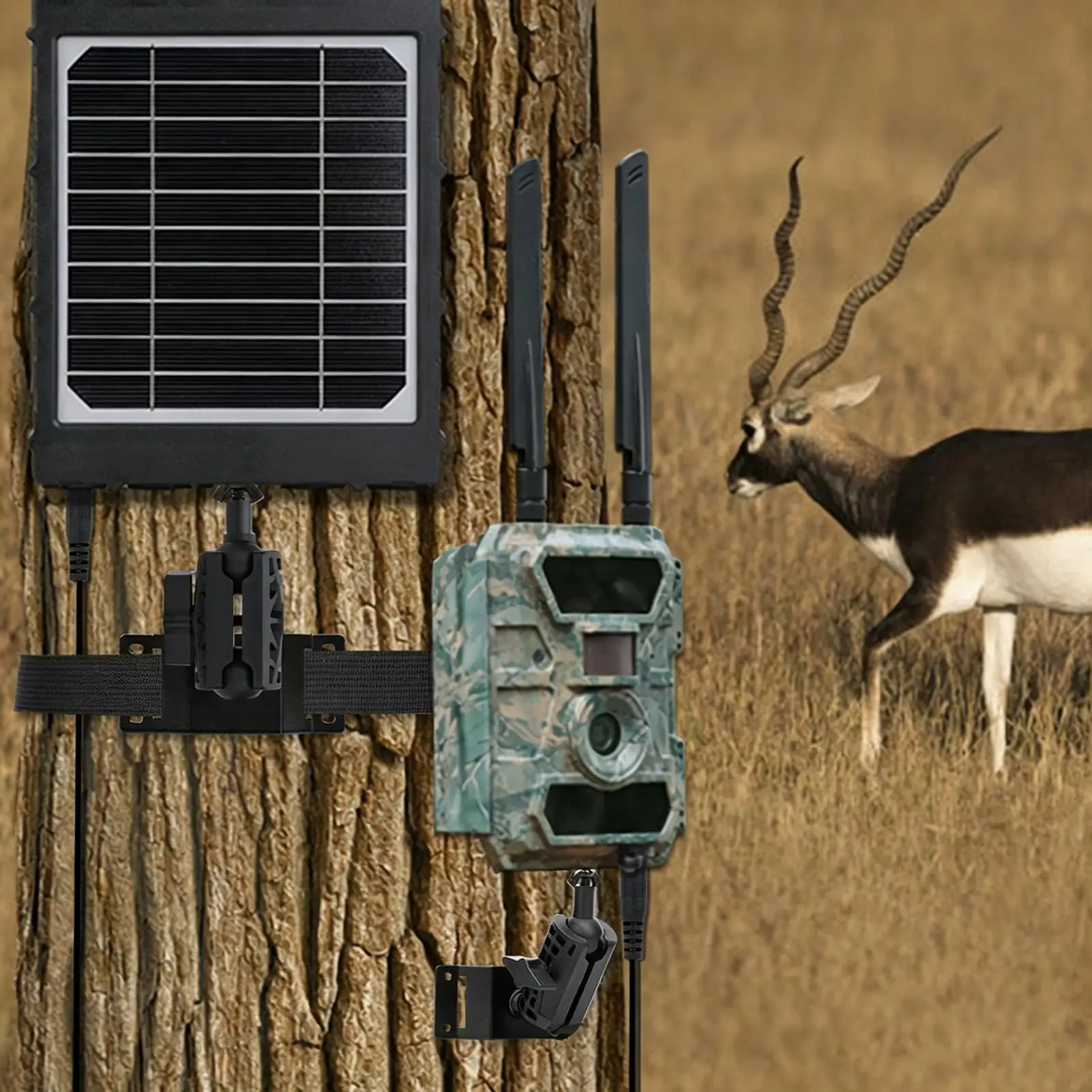 Trail Camera Holder Adjustable Stable Support 1/4 Inch Interface Strap Mount Trail Camera Bracket For Photographers Ranch Owners
