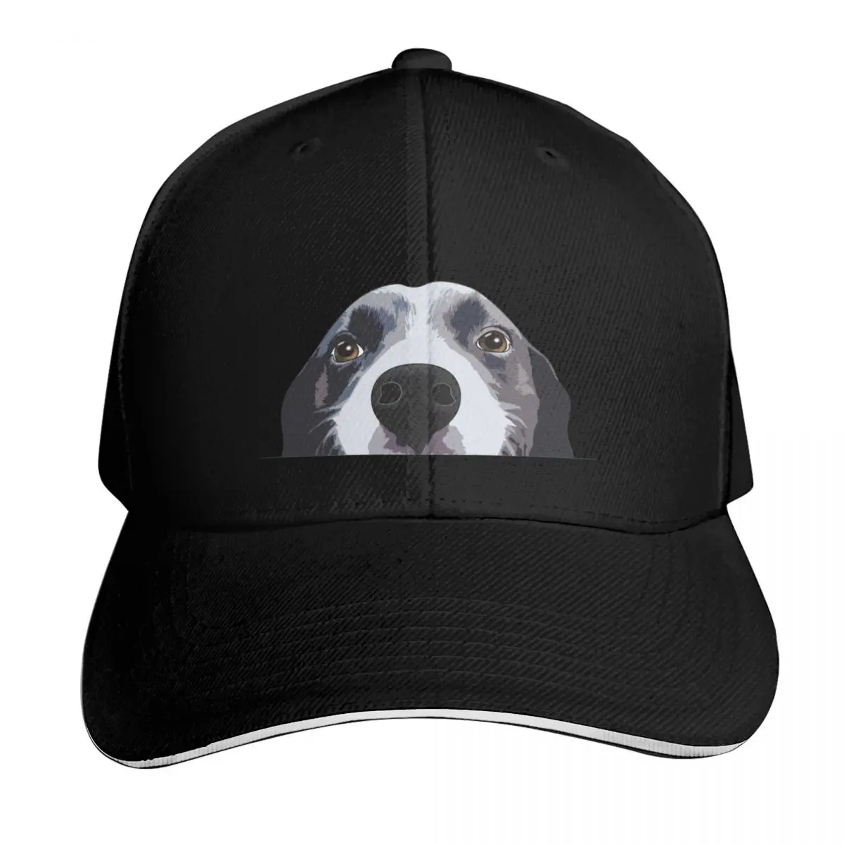 Gorra de béisbol divertida Border Collie Peeking, con diseño de Border Collie, regalo para amantes, gorra de pesca, sombrero de senderismo, gorra Wild Ball para hombre y mujer