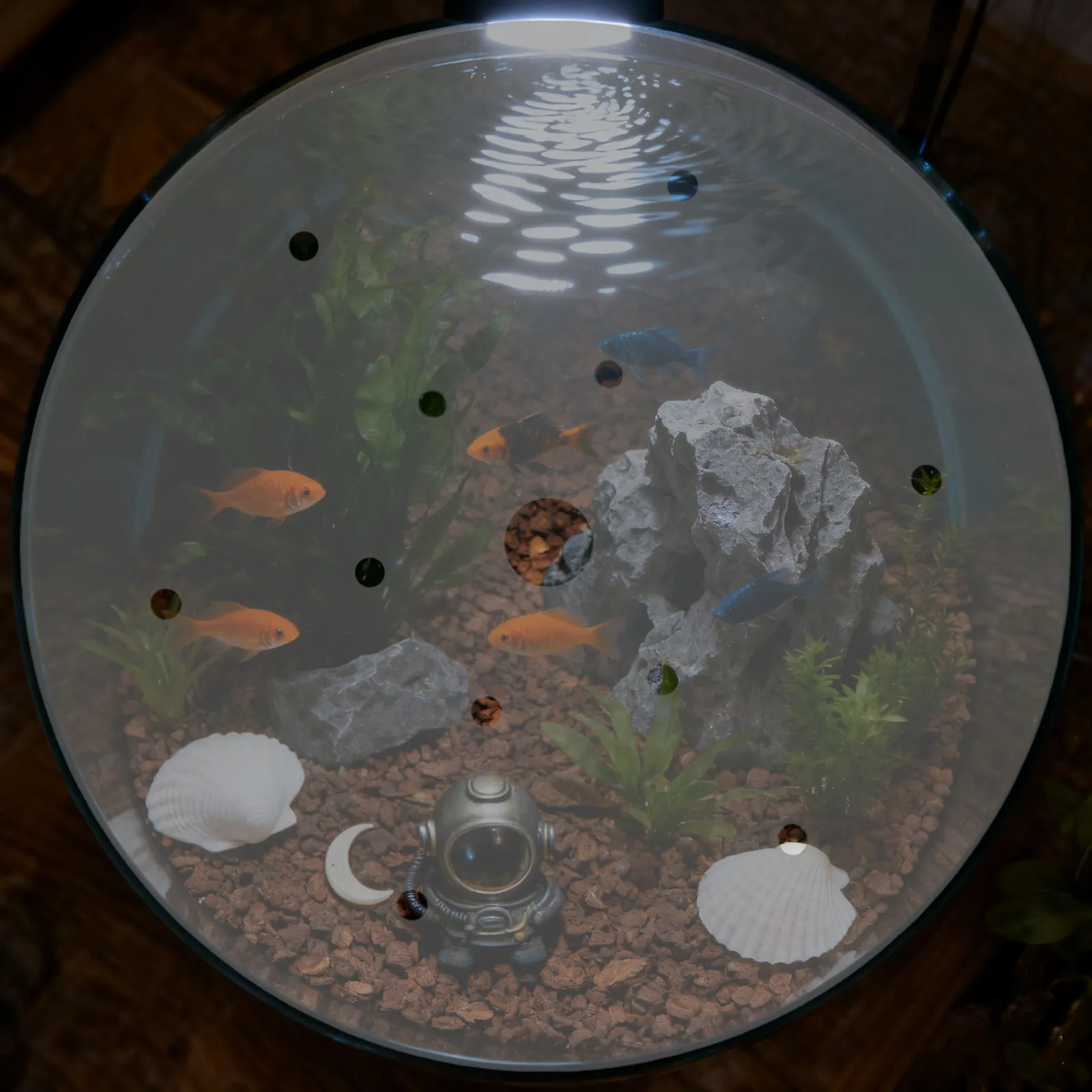 Round Aquarium Lid Cover 7.86 Inch Clear Acrylic Anti-Escaping Fish Tank Top Cover Secure Reusable Maintenance Friendly Tank