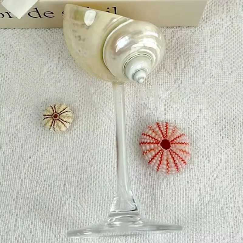 Wabi-sabi Handmade Natural Conch High Footed Cup Transparent Base Design Party Cocktail Drinking Set Artistic Decorative Desktop