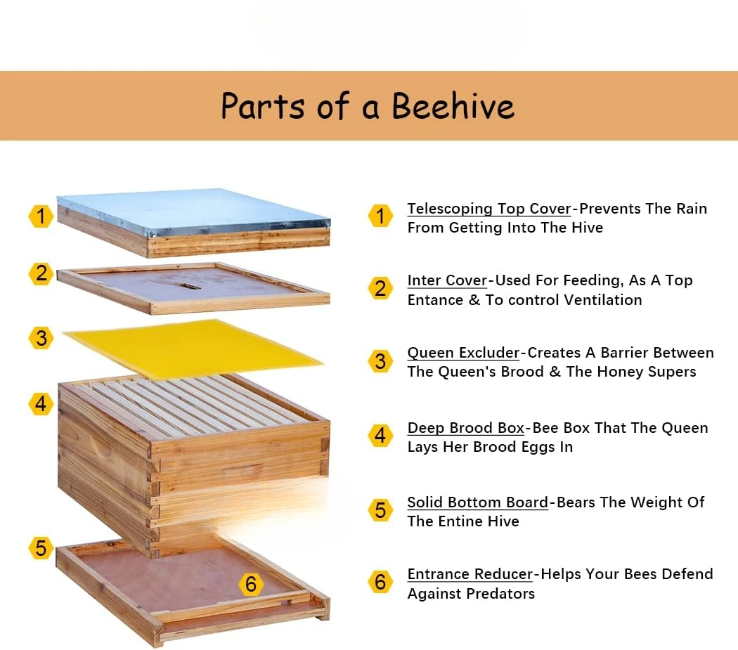 10-Frame Bee Hives and Supplies Starter Kit,Beehive Kit Dipped in 100% Beeswax,All Beginners Kit Includes Beekeeping Supplies