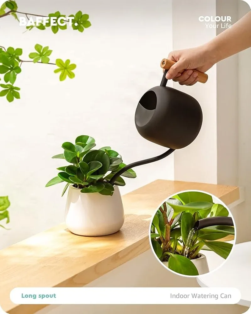 Lovely Indoor Watering Can Cute Watering Can Long Spout 2L Capacity For Bonsai Prevent Frosted Small