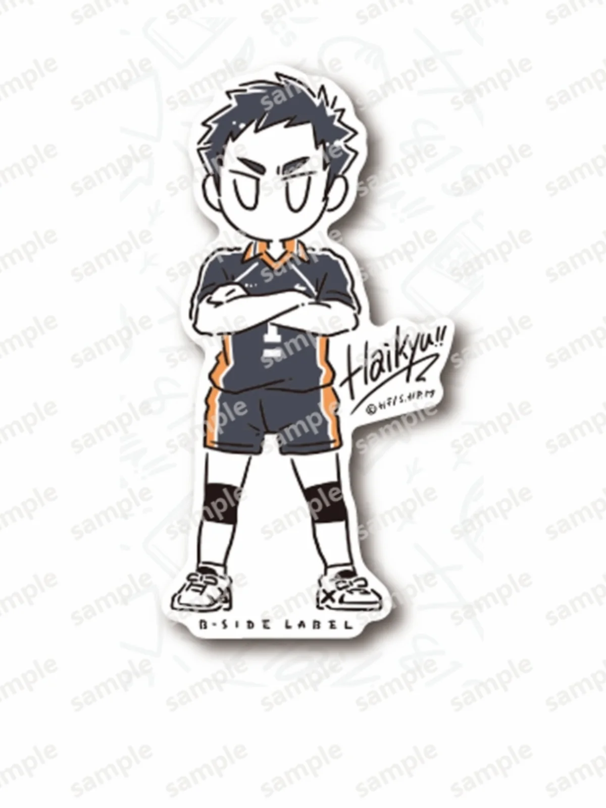 Anime Haikyuu!! Shoyo Hinata Tobio Kageyama Cosplay Standing Sign  Ambitus