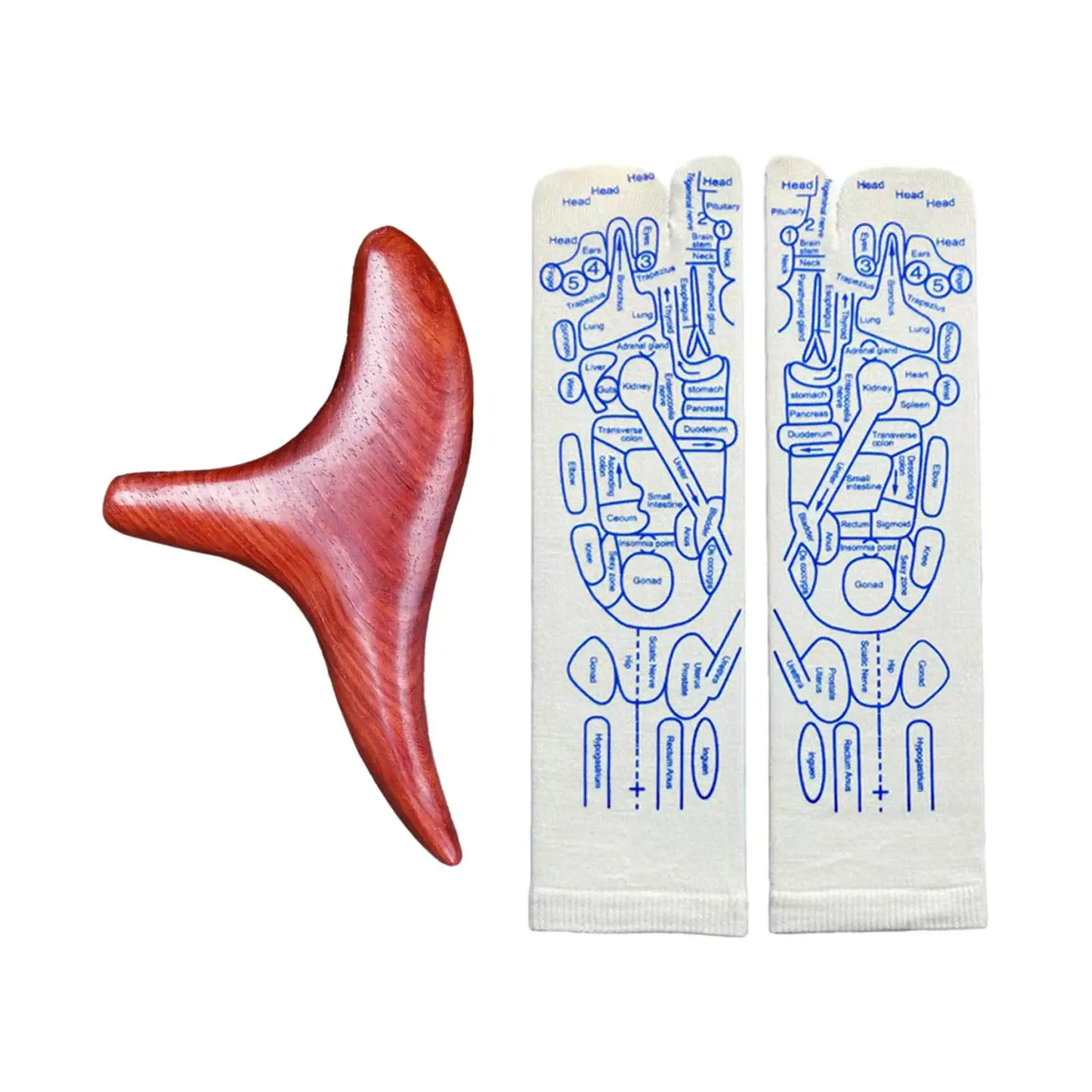 リフレクソロジー靴下フットマッサージソックス通気性ソフトカジュアルツボイラスト靴下家庭用マッサージパーラー大人