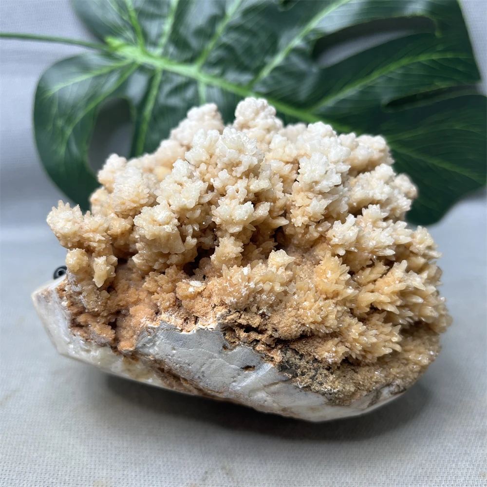 Natural Stone Crystal Clusters Calcite Hand Carved Hedgehog Original Mineral Specimens Home Room Decoration Spiritual Healing