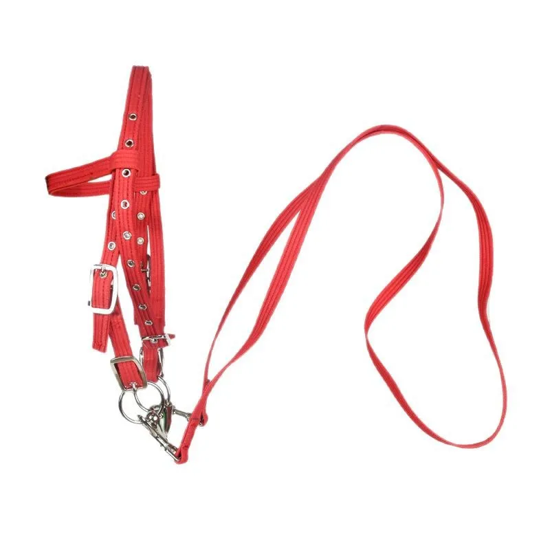 Cotton Rope Halter, Waterproof Durable Adjustable Horse Halter for Pony, Equestrian Tack, Rein Set